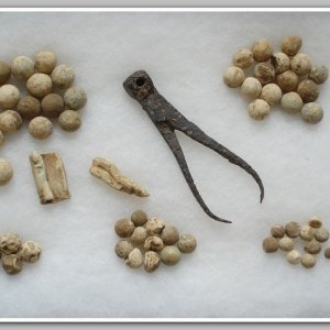 Musket balls found in area while hunting for site.