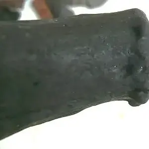 Deer antler
