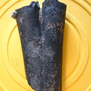 Part of a Camel Llama leg bone