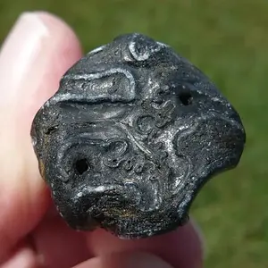 Equus Sp. Pleistocene horse tooth  (3)