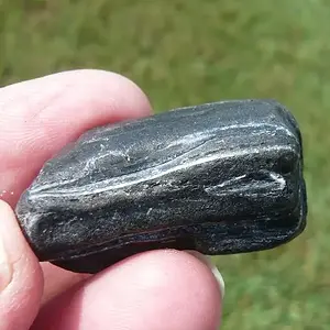Equus Sp. Pleistocene horse tooth  (5)