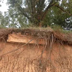 [No title]