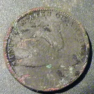DSCF4982