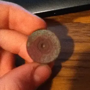 A Winchester Repeater 12 gauge shotgun bullet