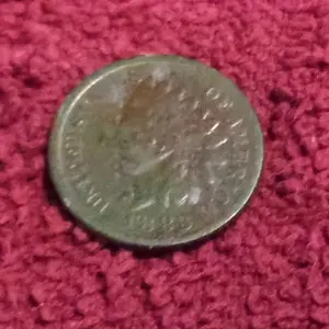 1883 Indian Head