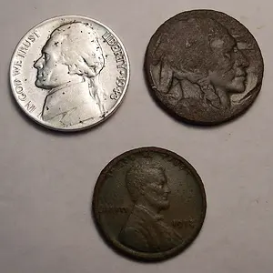 May 6, 2012 yard finds