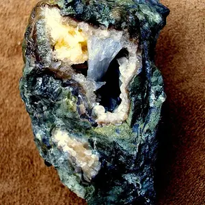 geodized brachiopod