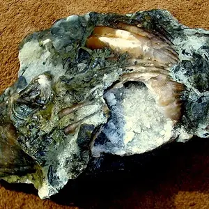 calcite geodized brachiopod