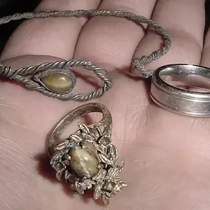 NOV. 12TH GOOD FINDS FROM RI BEACH