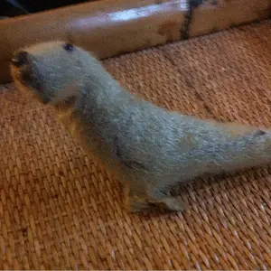 Found this little seal. Handmade with glass eyes and nose?  Appears to be sealskin, anyone have any info on this piece?