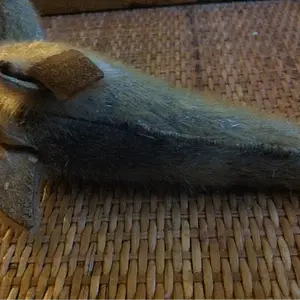 [No title]