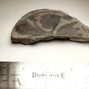 pottery shard
