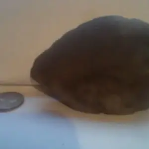 Found in the creek
