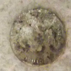 1870 qv