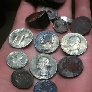 10 silver water hunt, November 2012.