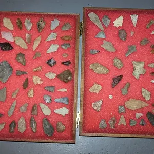 Collection 3