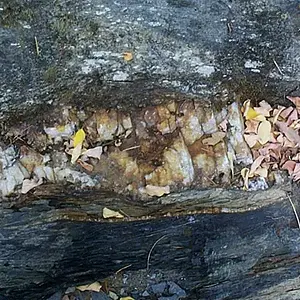 This quartz had a bunch of nuggets pack into it from the winter floods. It made a great riffle.