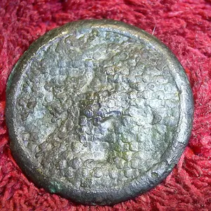 SUC50034