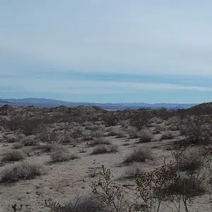 Zen lookout