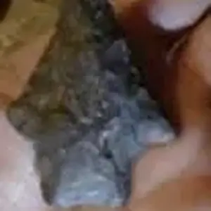 user115820 pic4479 1325567236 thumb