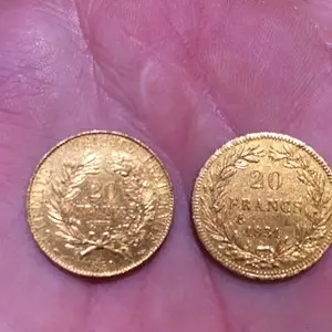 Reverse of the French Gold Francs