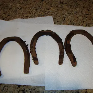 Horseshoes