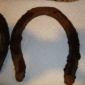 Horseshoe