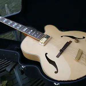 My Ibanez Pat Metheny model PM20