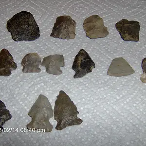 finds 007