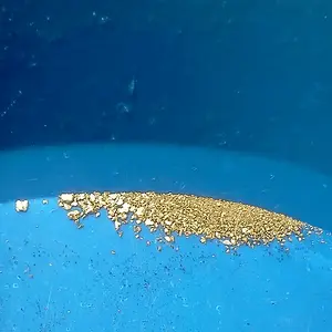 [No title]