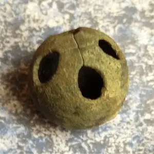 Old possible brass jingle bell. Cherokee Co.