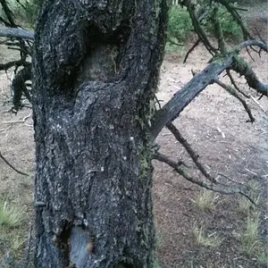 [No title]