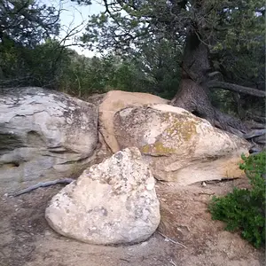 [No title]