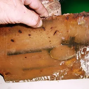 shipwreck musket remains 2 RESIZED bottom