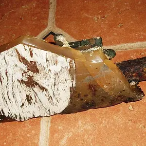 shipwreck musket remains 1b Bottom RESIZED