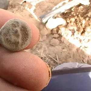 March 13, 2013 027