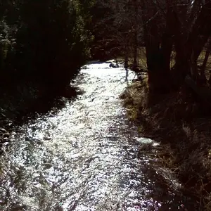 Oxenden Creek.