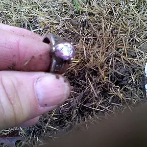 1st ring AT PRO 12 24 12