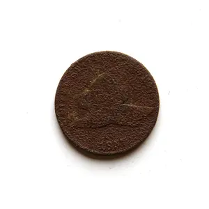 This 1857 Flying Eagle cent was dug by me  in a 1864 U.S. Colored Troop camp along the 1860 Edgefield-Kentucky RR. It will be pictured in Nirth South 