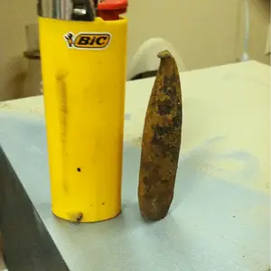 That's one big slug!