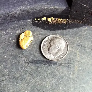 More Oregon Gold!!!
