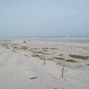 282  Sea Isle beach  , post Sandy