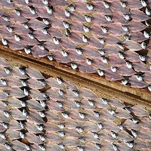 portugal drying fish