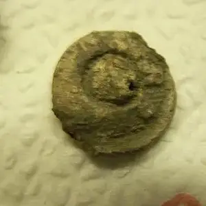 009 (5)