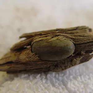 DSC01909