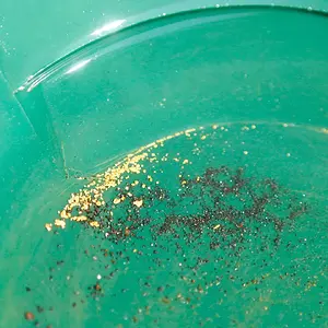 Gold Flake