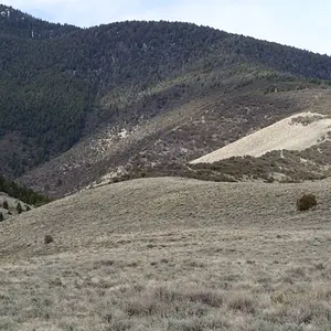 P4290015