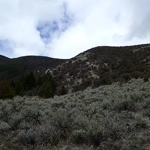 P4290014