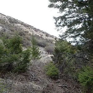 P4290009