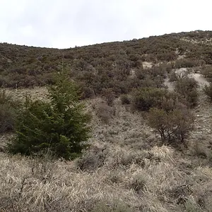 P4290012